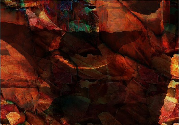 Leaves that look like rocks