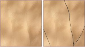 Two images of a leaf