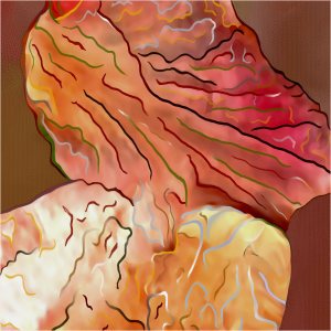 a picture called "Rita's Vision".