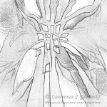 Daring To Be Seen_SQ_Text