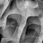 Elegant Texture_SQ_Text