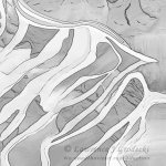 Fearless Flying_SQ_Text