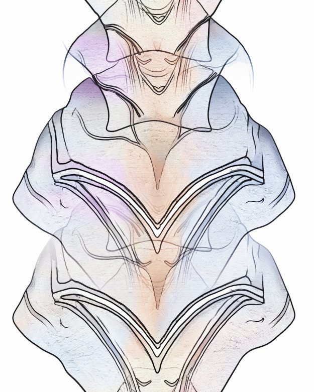 figurative art by Lawrence Grodecki